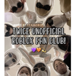 twice fan group !