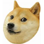 Doge international.