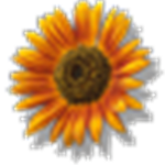 Nature's Government