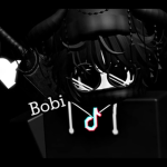 Bobi Zone