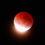 Blood moon club