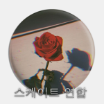 스케이트 연합