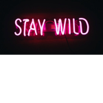 OXwild_freaksXO