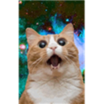 Galaxy Cat Group