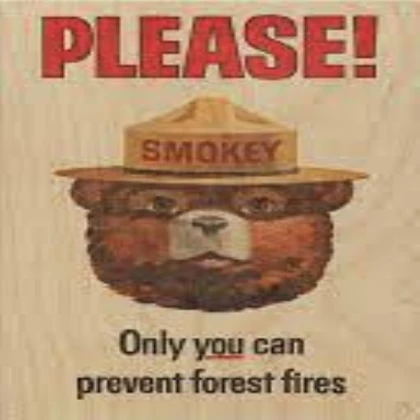 Only You Can Prevent Forest Fires