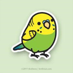 budgies :D