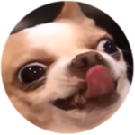 THE MEME GROUP DOGGO