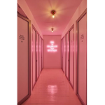 Pineapple roblox