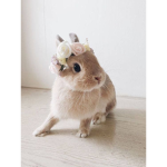 .+*Animal Friends*+.