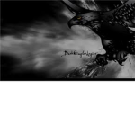 deadly eagles