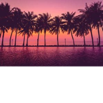 aloha beach