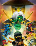 NINJAGO CO.