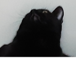 AAAAAAAAAAAAAAAAAAAAAAAAAAAAAAAA EEEEEEEEEEEEEEEEE