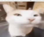 /???/