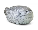 Seals Clothes