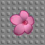 The Blossom's of the dying heart
