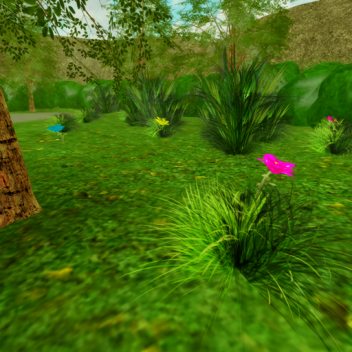 The Peaceful Place