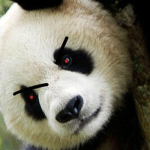 Pandani 2