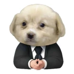 Gentle Blox Group Thumbnail