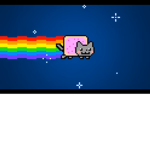 Cat And Animal Party