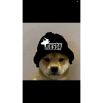 Ninjaaston1011