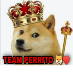 TTEEAAMM PERRITTO