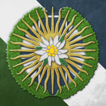 The National Coalition of the Confederation