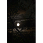 moony vibes
