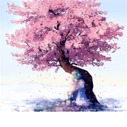 Admin vibes (Pink blossoms update!)