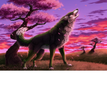 Wolves family