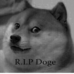 Doge Graveyard