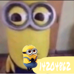 minion grouppp