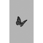 Butterfly clothinq