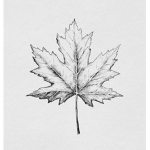 Citizens Of The Nation Of Canada