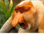 MONKEY FAN
