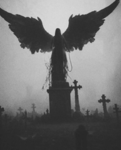 TheFallenW