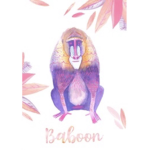 The Big Baboon