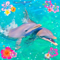 ♡