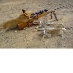 Madman Geco / Fox Clan! :D