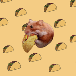 HungryTaco Games