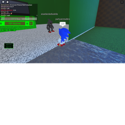 sonic rp