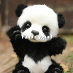 Thee Panda Squad