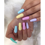 Aesthetic royal butterfly’s