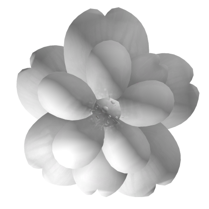 Soft white Cherry Blossom Hair Clip