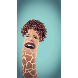 boom boom zoo game