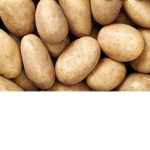 Potato land12344