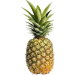 PineappleXOfficial