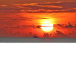 ~The Sunset Inn~