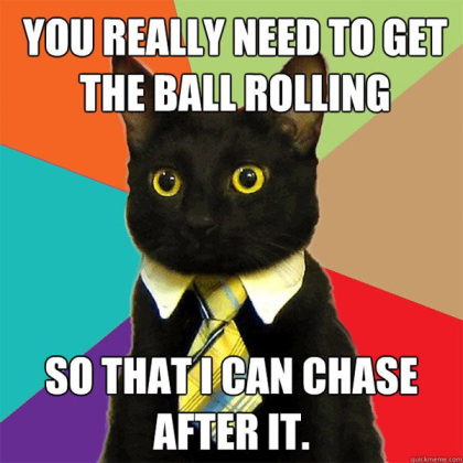 Business cat meme Roblox decal