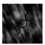 DNA-PRODUCTIONS